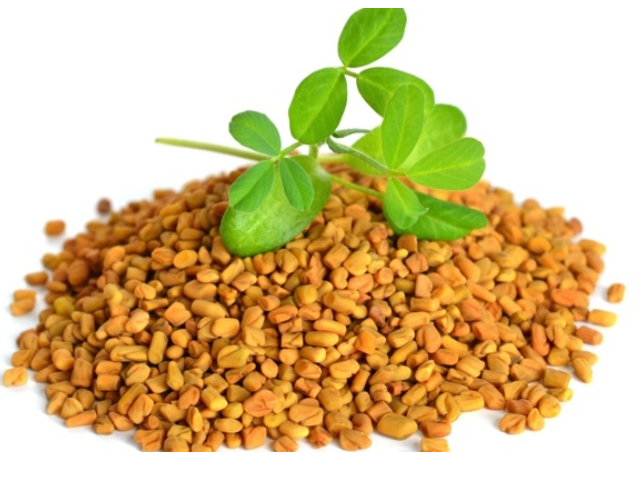 Fenugreek seeds